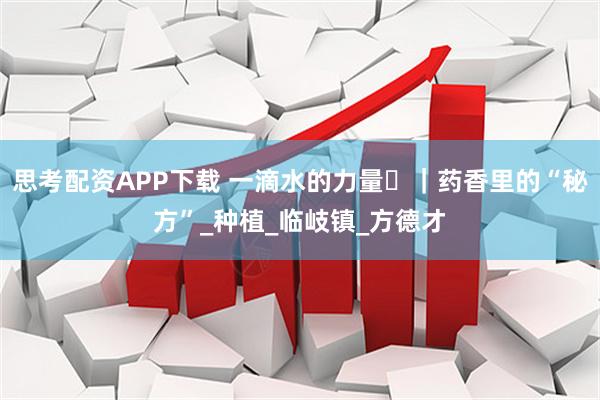 思考配资APP下载 一滴水的力量⑫｜药香里的“秘方”_种植_临岐镇_方德才