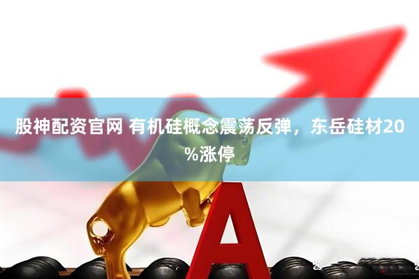 股神配资官网 有机硅概念震荡反弹，东岳硅材20%涨停