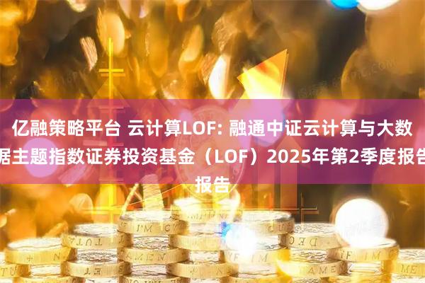 亿融策略平台 云计算LOF: 融通中证云计算与大数据主题指数证券投资基金（LOF）2025年第2季度报告