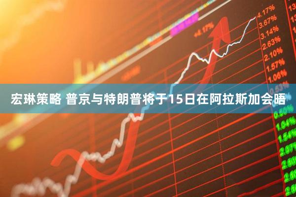 宏琳策略 普京与特朗普将于15日在阿拉斯加会晤