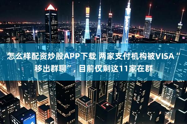 怎么样配资炒股APP下载 两家支付机构被VISA“移出群聊”, 目前仅剩这11家在群