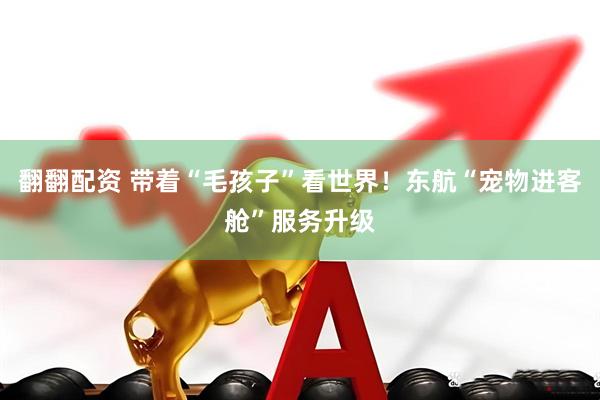 翻翻配资 带着“毛孩子”看世界！东航“宠物进客舱”服务升级